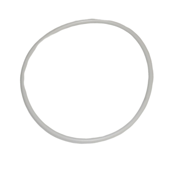 Ecoflam O Ring Max Bfg01043 223128 R04M997389 65321066