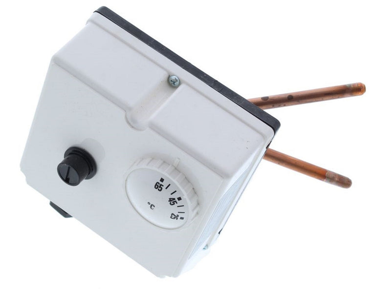Worcester Dual Thermostat 87161134110