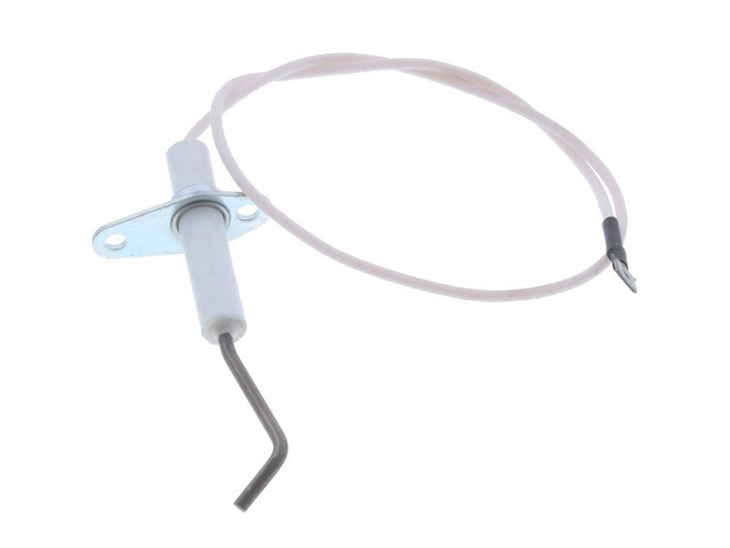 Biasi Detection Electrode Bi1223104