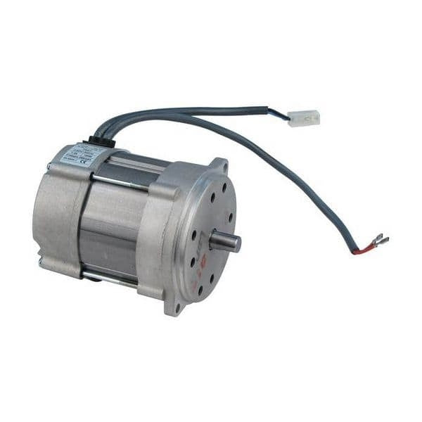 Riello Motor R40 Gs20 Gs20D
3008972 87161124040