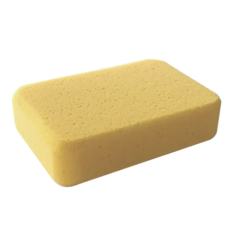 Professional Sponge
