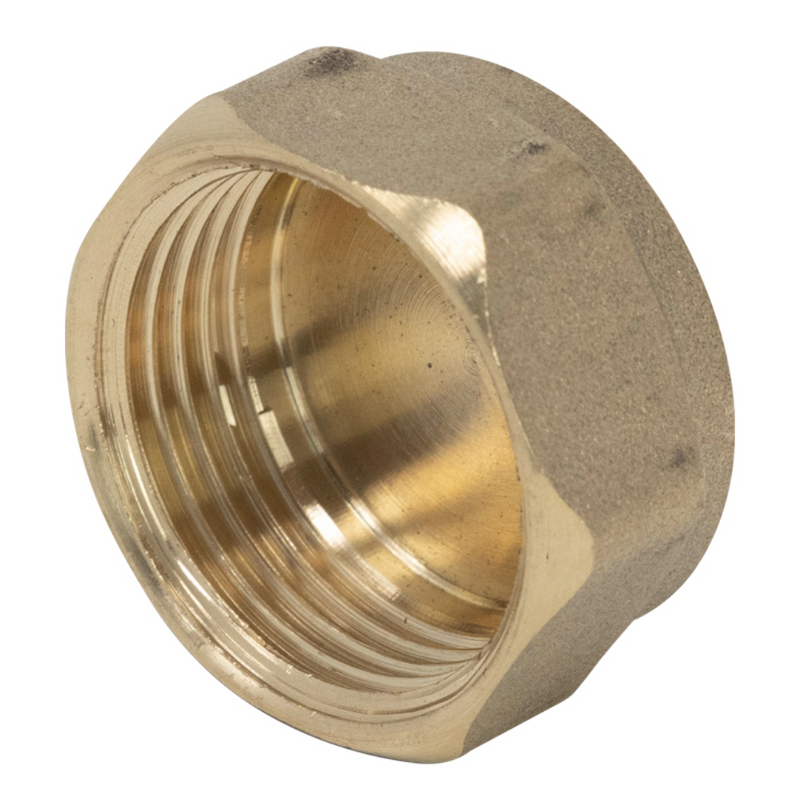 1 1/4" Brass Blanking Cap
