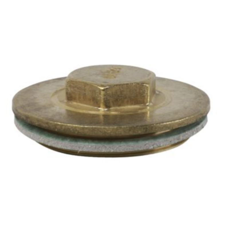 2 1/4" Immersion Plug & Washer